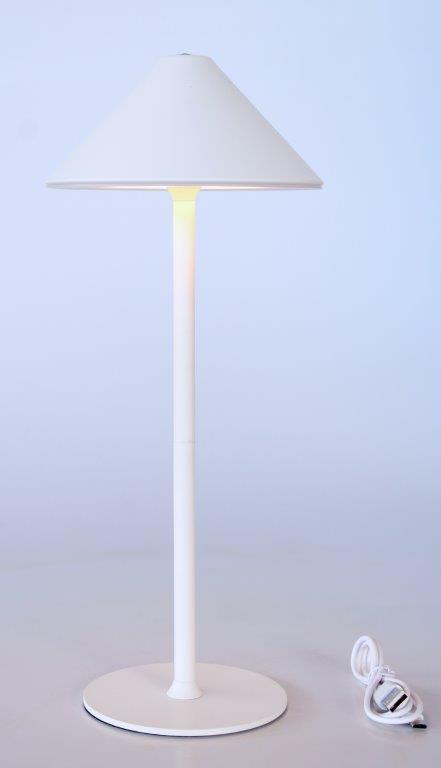 Led White Lamp Base With White Chinese Shade